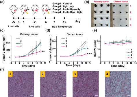 A Mitochondria Localized Iridium Iii Photosensitizer For Two Photon