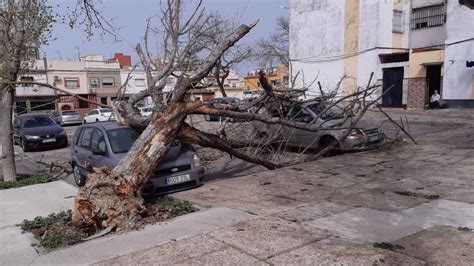 La Semana Arranca En Jerez Con Una Nueva Alerta Amarilla Por Viento De