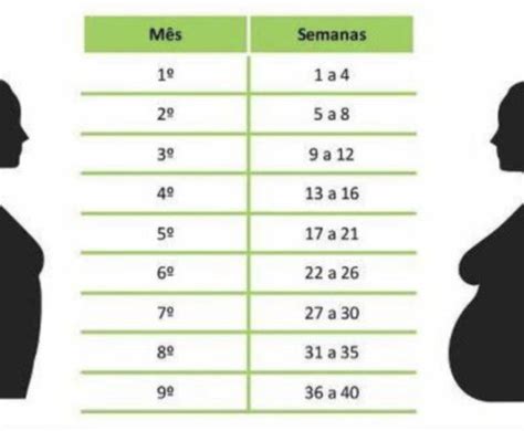 Tabela Gestacional Fevereiro De Babycenter