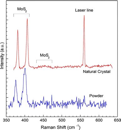 A Raman Spectroscopic Study Of MoS2 And MoO3 Applications To