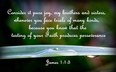 Consider It Pure Joy My Brothers And Sisters Whenever You Face Trials