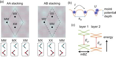 Interaction Of Moiré Excitons With Cavity Photons In Two Dimensional