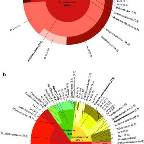 A Diversity Of Cultivable Bacteria In The Soil And Rhizosphere