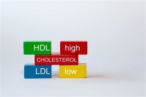 Why Cholesterol Ratio Is Important I Thelifeco Wellbeing