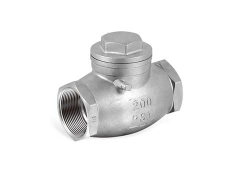 Stainless Steel Swing Check Valve 316ss Orseal