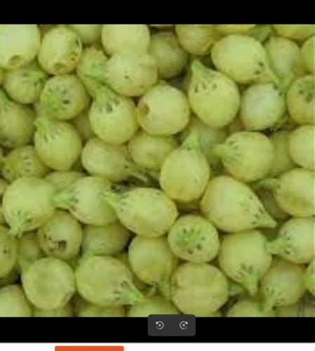 Mahua Flower 2 at Rs 58/kg | Raigarh | ID: 2852107464430