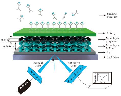 Biosensors Free Full Text Improved Differential Evolution Algorithm