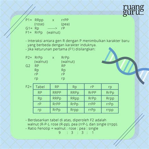 Macam Penyimpangan Semu Hukum Mendel Biologi Kelas