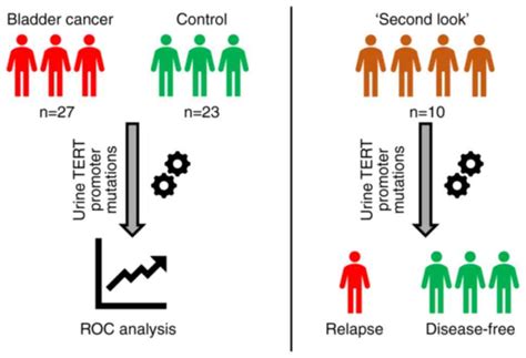 Urine Tert Promoter Mutations‑based Tumor Dna Detection In Patients