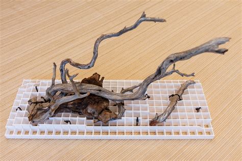 How to Secure Aquarium Driftwood using EggCrate Light Grid