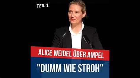 Alice Weidel über Ampel Dumm wie Stroh YouTube