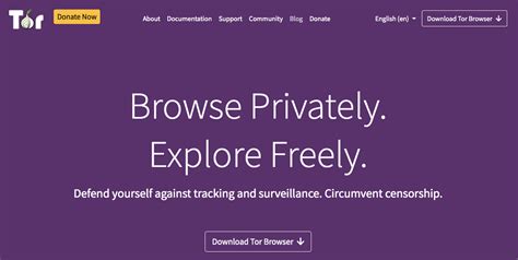 How to access the dark web: What is Tor and how do I access dark websites?