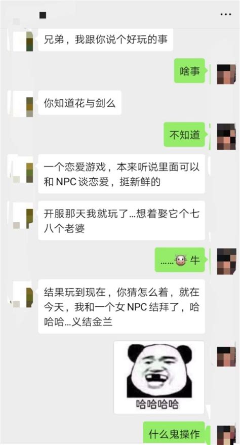 男玩在花與劍瘋狂追求心儀女生，終於成為結拜兄妹 每日頭條