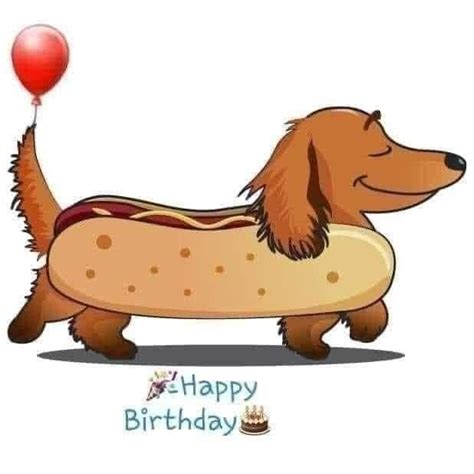 Pin By Rosana Mari On Querido Salsicha Happy Birthday Dachshund Dachshund Love Dachshund