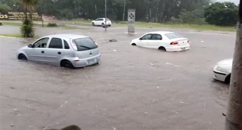 Janeiro De Tem Maior Volume De Chuva Dos Ltimos Cinco Anos