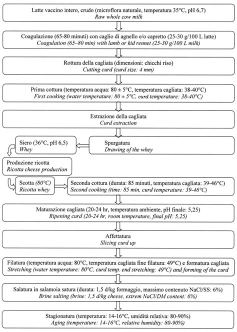 Diagramma Di Flusso Della Tecnologia Di Produzione Del Formaggio