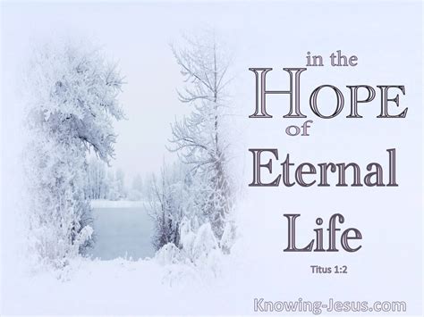 Titus 12 The Hope Of Eternal Life White