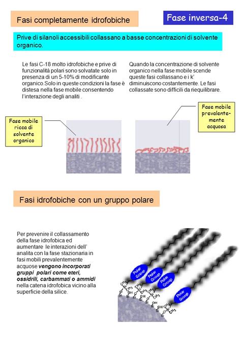 Fase Diretta 1 Tecniche Di Separazione E Tipi Di Fasi In Cromatografia