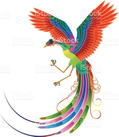 Chinese Phoenix Legend Of Bird Phoenix Bird Images Phoenix Legend