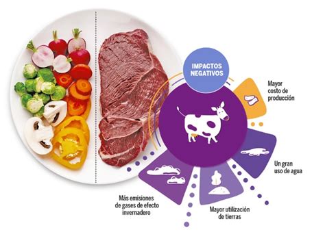 Disminuir El Consumo De Carne Para Combatir El Da O Clim Tico Unam