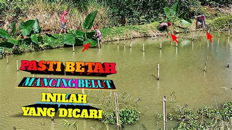 Kolam Seperti Inilah Yang Dicari Para Pemancing Belut Mancing Belut