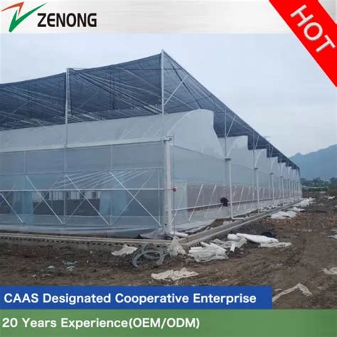 Hot Dip Galvanized Steel Skeleton Sawtooth Roof Film Greenhouse Glass