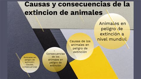 Causas Y Consecuencias By Caleb Reyes On Prezi