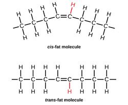 Trans Fat - FATS