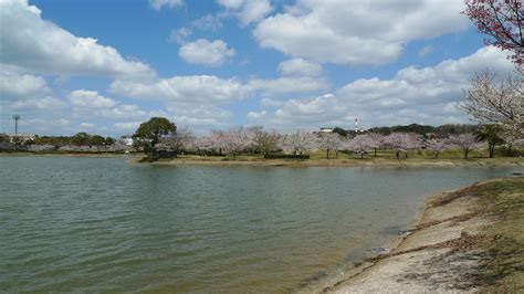 駕与丁公園 糟屋郡粕屋町 福岡発 九州観光ガイド