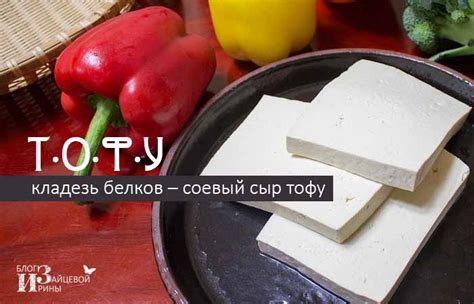 Сыр тофу. Польза и вред. Состав. Калорийность. Фото. Рецепты