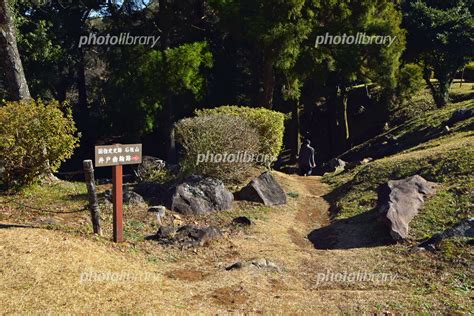 小田原 石垣山一夜城 井戸曲輪跡 入口 写真素材 7007103 フォトライブラリー Photolibrary