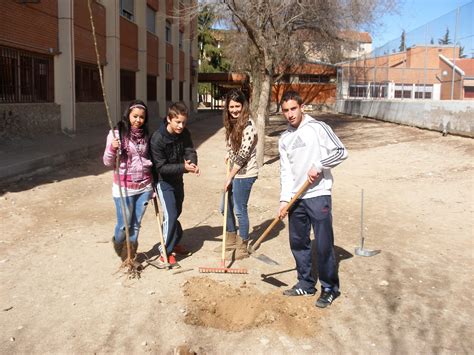 Ecoescuelas I E S Alonso de Ercilla Ocaña Plantación