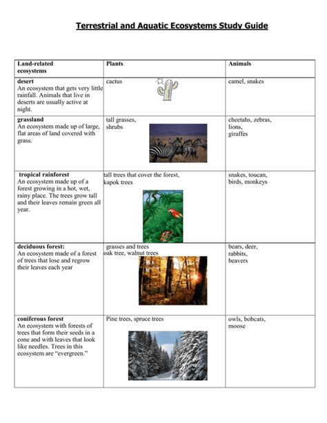 Terrestrial And Aquatic Ecosystems Study Guide