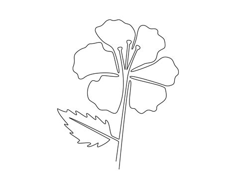 Continuous One Line Drawing Of Hibiscus Flower Vector Illustration