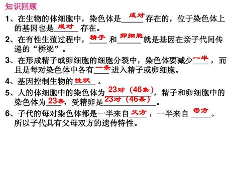 2015年新人教版八年级生物下册第七单元第二章第三节基因的显性和隐性课件word文档在线阅读与下载无忧文档