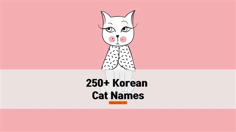 250+ Korean Cat Names You Will Love, Or Should I Say, Sarang