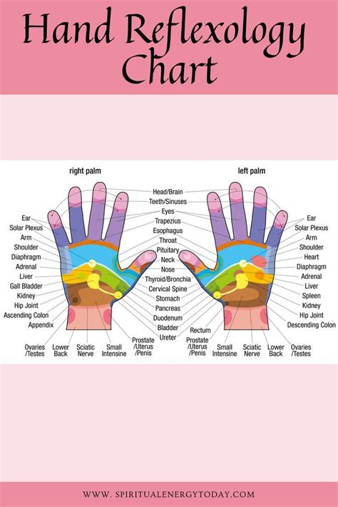 Hand Reflexology Chart Points in 2022 | Hand reflexology, Reflexology chart, Reflexology