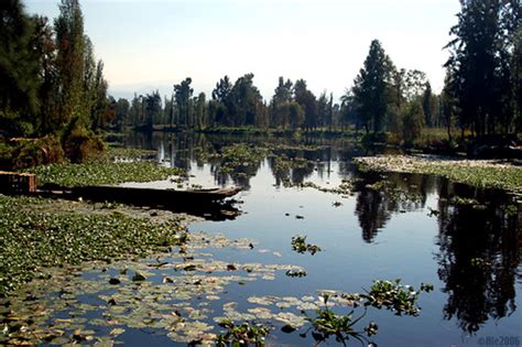 Lake Xochimilco - Alchetron, The Free Social Encyclopedia