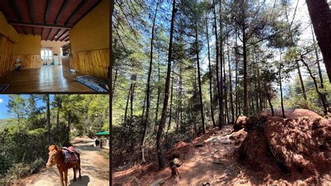 Down Trek Tiger S Nest Local Food At Local Home In Paro Hot Stone