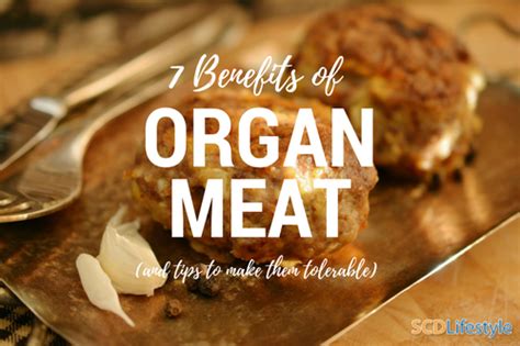 7 Health Benefits Of Organ Meats And Tips To Make Them Tolerable Healthy Gut Company