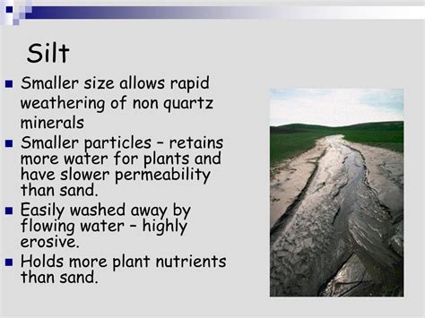 Ppt Lecture 2a Soil Texture Soil Texture Sand Silt And Clay In A