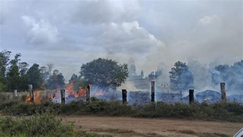 Controlan Incendio Forestal Que Consumió 22 Hectáreas En Isla De