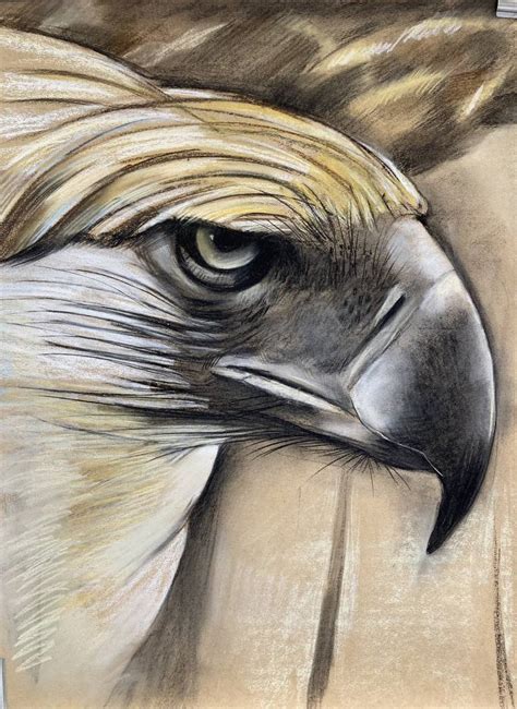 Augen Blicke, Adler, Augen, Pastel auf Papier Drawing by Svetlana Tiukkel | Saatchi Art