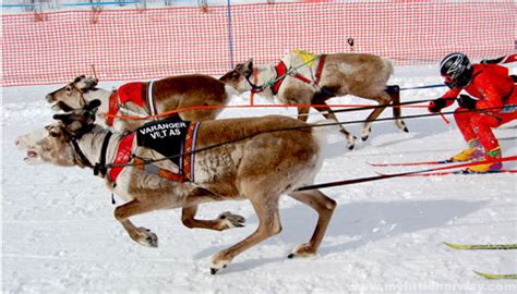 NORSKÉ VELIKONOCE Práce v Norsku