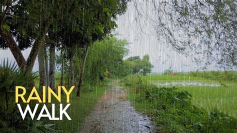 Amazing Walk In Gentle Rain Walking In The Rain Sleep Sound Asmr Rain Sound Rain Walk Youtube