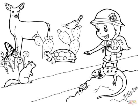 Junior Ranger on Trail coloring page | Free Printable Coloring Pages