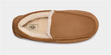 Ugg Ascot Slipper For Men Ugg® Uk