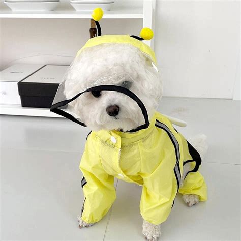 Full Body Raincoat For Dogs – With Convenient Pockets On The Back ...