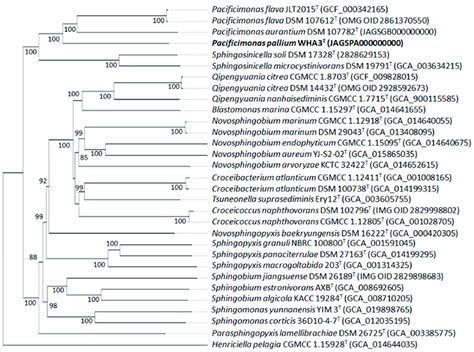 Phylogenomic Tree Inferred From The Whole Proteome Based GBDP Distances