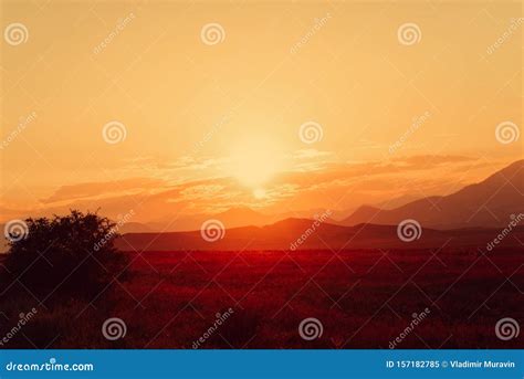 Golden Sunset in the Mountains Stock Image - Image of scenery, saudi ...